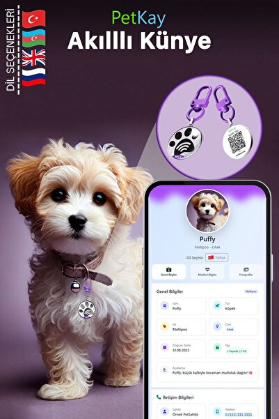 petkay İsimli Köpek Tasması, Akıllı Künye, Nfc Dijital Isimlik Ve Tasma Künyesi Qr Kod Künye P. Çelik Mor