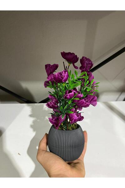 La bella bazar 24cm-μίνι τεχνητό λουλούδι διακοσμητικό σε γλάστρα Διακόσμηση λουλουδιών τραπεζιού Μικρού μεγέθους Φυσική πέτρα σε γλάστρα με φύκια