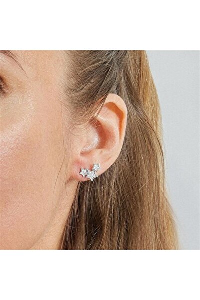 Luxenter Cercei din Argint 925 FAMILIA EH 10700-00