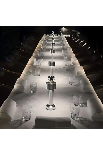 ETRONIK Table Lamp Rechargeable, Touch Sensor LED Desk lamp 3 Ways Dimming, USB Cord for Bedside (SILVER)