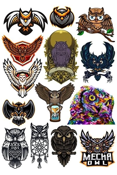 Reysa Tasarım مجموعة ملصقات البومة مكونة من 3 14 قطعة للهاتف والكمبيوتر اللوح...