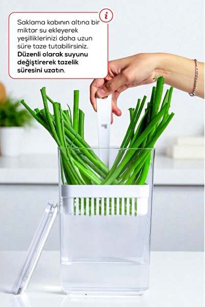 Vienev Greenery Storage Container with Strainer 2.9 Liters