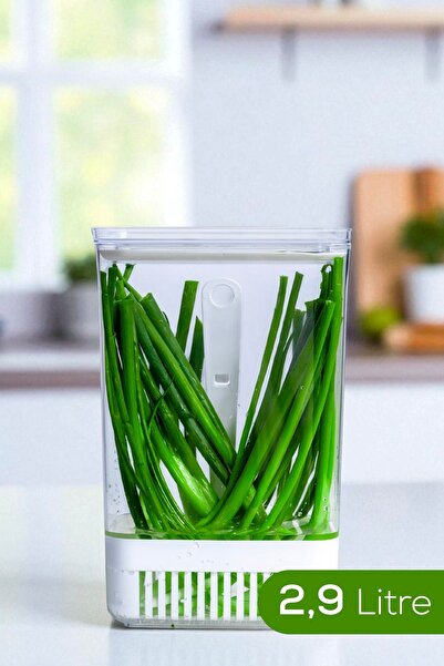 Vienev Greenery Storage Container with Strainer 2.9 Liters