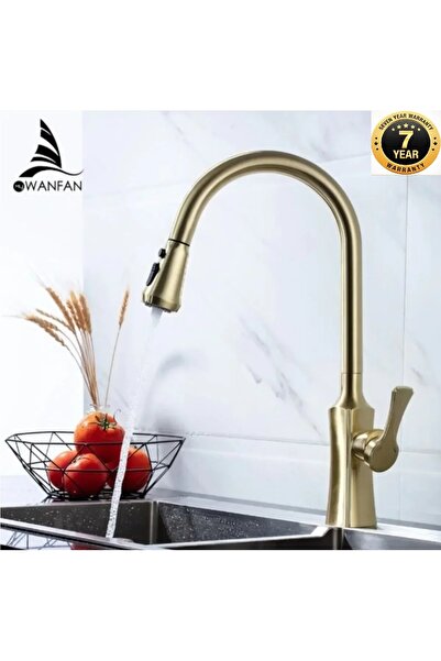 OEM Mutfak Evye Bataryası Fiskiyeli Spiralli Çift Akış Ayarlı Mat Gold 7 Yıl ...