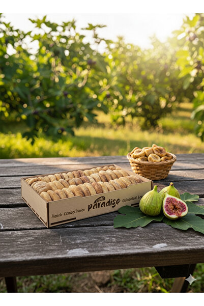 SNACK PARADISE سانك بارادايس ليديا ديزيم علبة خشبية من التين الطبيعي (500 جرام)