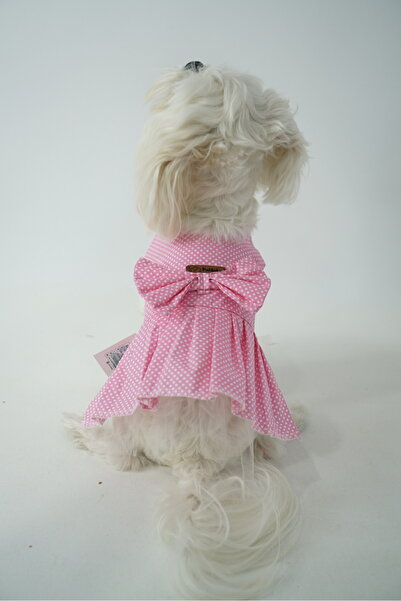 PATİLİNKA Kedi - Köpek Yazlık %100 Pamuklu Poplin Elbise - Kıyafet - Tişört