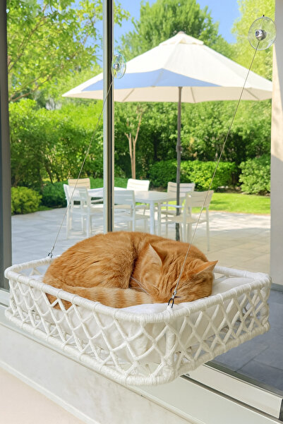 TASARYUM Kedi Köpek Cam Yatağı Vantuzlu Hamak El İşçiliği
