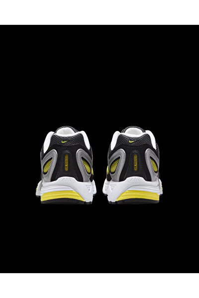 Nike Air Pegasus 2005