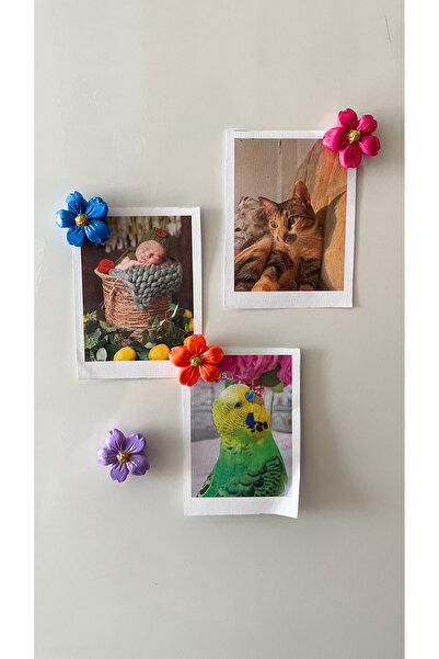 Jovial Hediyelik 4 Adet Minimal Çiçek Figürlü El Yapımı Magnet ( Fotograf ve ...