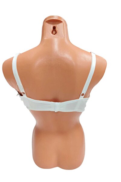 wear treasure D Cup (for Large Breasts) 3-Cup Supporting Bra with Underwire and Sponge