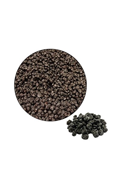 Driedfruit التوت الأزرق الأمريكي (1 كجم)