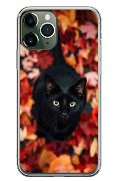 Atlas Husa personalizata tip carcasa Apple iPhone 11 Pro, Black Cat 3, , S1D1...