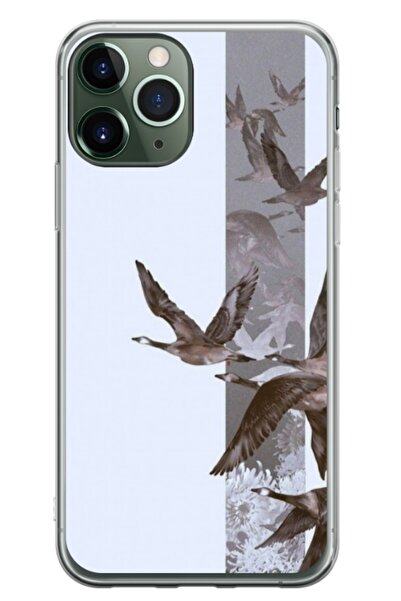 Atlas Husa personalizata tip carcasa Apple iPhone 11 Pro, Birds, , S1D1M0314