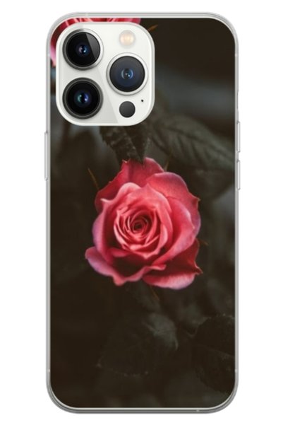 Atlas Husa personalizata tip carcasa Apple iPhone 13 Pro, Flowers 11, , S1D1M...