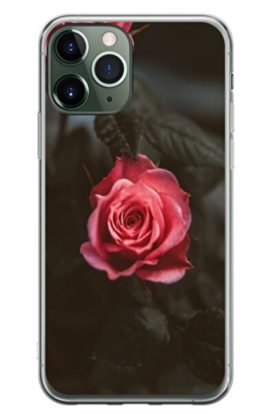 Atlas Husa personalizata tip carcasa Apple iPhone 11 Pro, Flowers 11, , S1D1M...