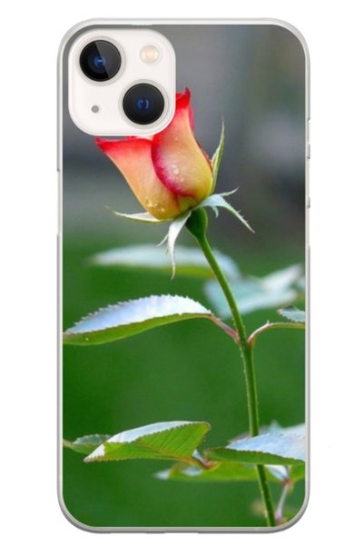 Atlas Husa personalizata carcasa Apple iPhone 17, Flowers 13, S1D1M0206,