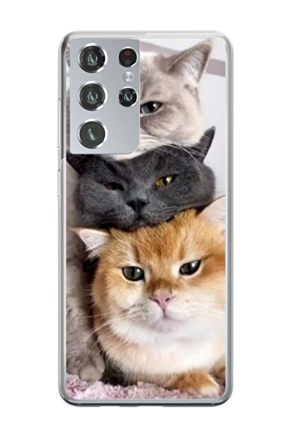 Atlas Προσωποποιημένη θήκη Samsung Galaxy S21 Ultra, Γάτες, , S1D1M0116