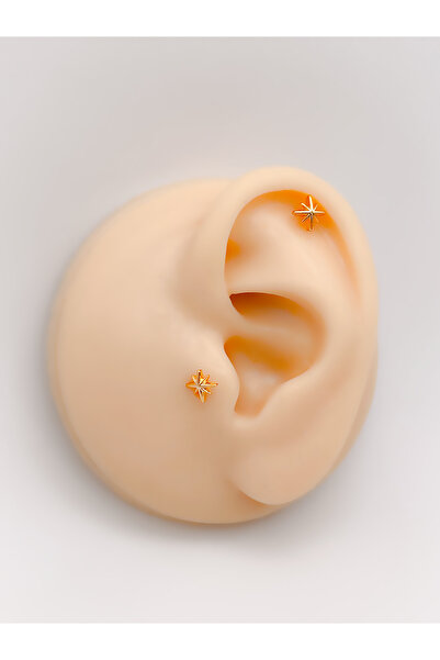 Trinos Cerrrahi Çelik Piercing ( Pirsing ) Mini Kuzey Yıldızı Tragus Helix Piercing (1adet)
