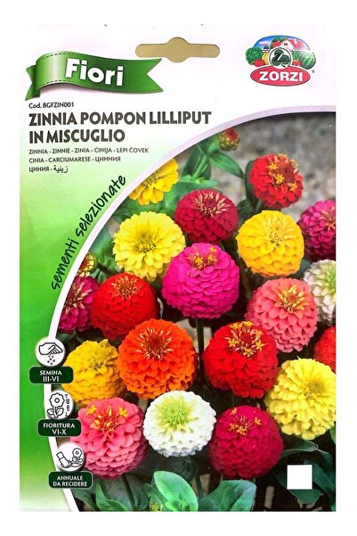 ZORZI بذور زورز زينيا