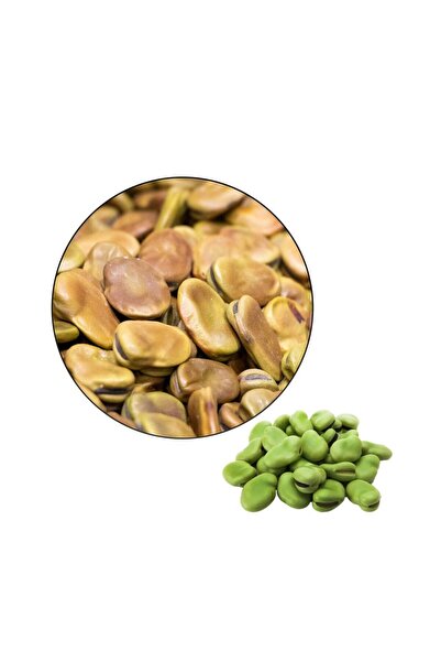 Seeds فول عريض كبير-عدس (1 كجم)