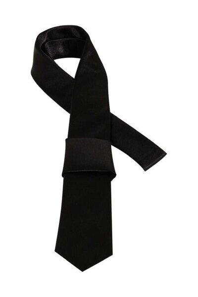 Plus Scorpion Classic & Modern Style Matching Dobby Men's Tie - for Special Occasions and Business