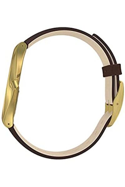 Swatch Ceas Swatch, Skin Suit Coffee SS07G100