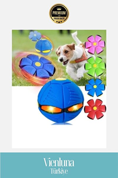 vienluna Özel Üretim Işıklı Zıplayan İnteraktif Evcil Hayvan Topu Fiziksel ve Zihinsel Aktivite