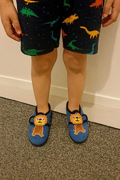 gigigiyim Aslan Baskılı Cırtlı Erkek Çocuk Panduf