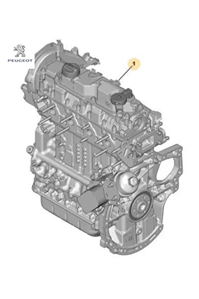 Peugeot Komple Motor 207-308-3008-508-5008-partner Tepee-focus 1.6hdı/dv6c 115bg Euro5 İlk Üretim