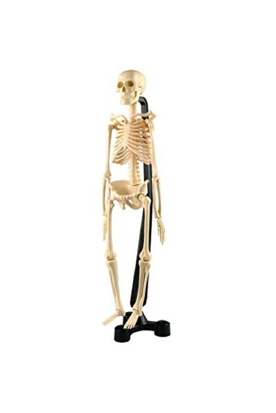 Edutoys مجموعة أنشطة تعليمية علمية تعليمية صغيرة مكونة من 48 قطعة