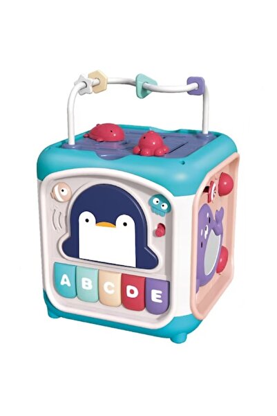 SOLTOY Cub educativ senzorial cu 6 fete cu 11 activitati SOLTOY® Pinguin, cla...