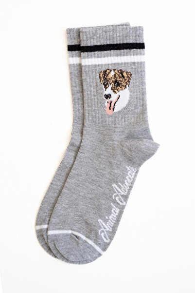 Trampoline Dog Patterned Long Socks - Patterned Socks - Gray Long Socks