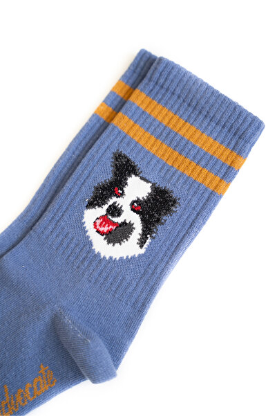 Trampoline Dog Patterned Long Socks - Patterned Socks - Blue Long Socks