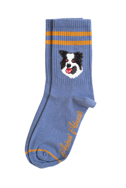 Trampoline Dog Patterned Long Socks - Patterned Socks - Blue Long Socks