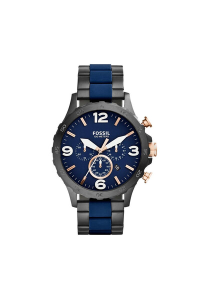 Fossil Ceas barbatesc Nate JR1494