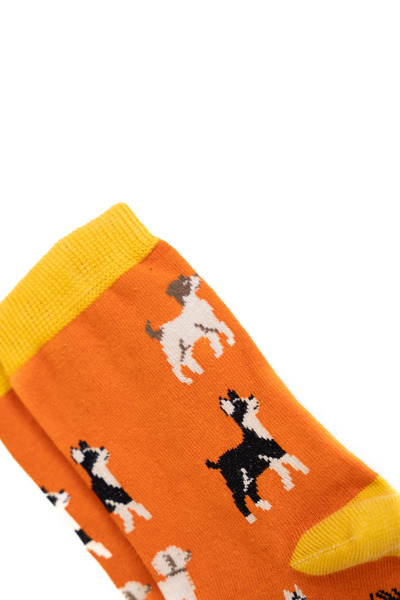 Trampoline Dog Patterned Long Socks - Patterned Socks - Orange Long Socks