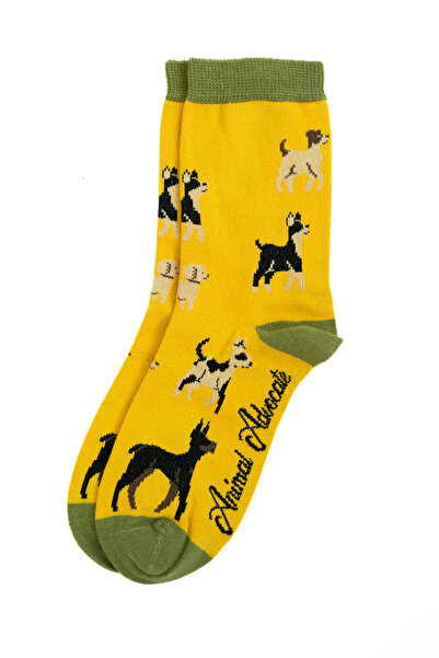 Trampoline Dog Patterned Long Socks - Patterned Socks - Yellow Long Socks