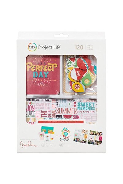 American Craft زخارف سجل القصاصات من مشروع الحياة بيكي هيغينز