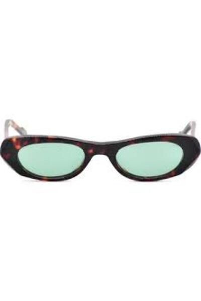 FRANCO VITAL Kelvin Brn/Brn Sunglasses