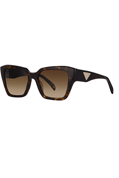 Polo Santa Barbara&Racquet Club Sb 1107 C2 52-17 145 Santa Barbara Polo Women's Sunglasses
