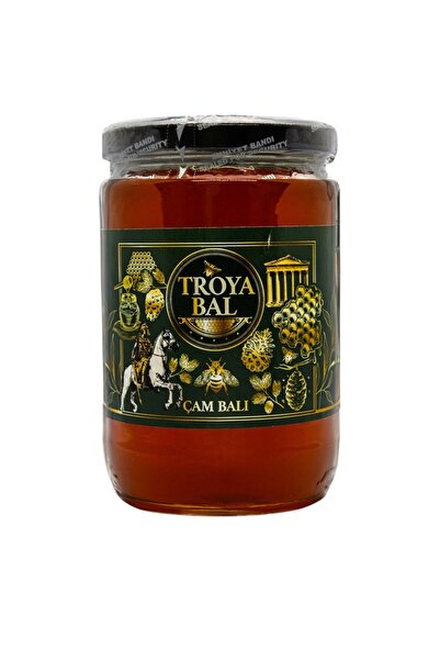 TROYA ARICILIK GIDA Troya Çam Balı 850 g