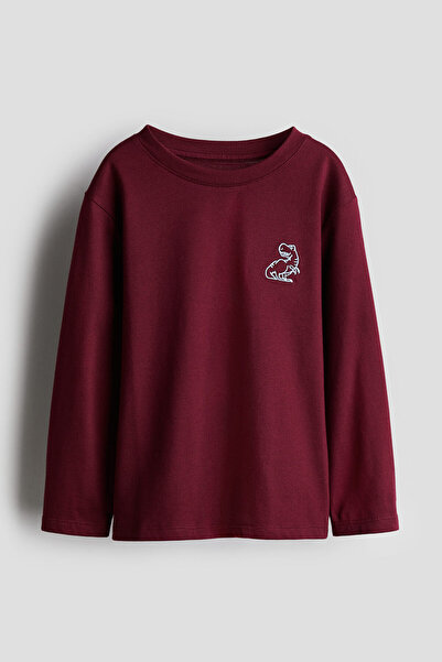 zeyderkids Erkek Çocuk Dinozor Nakışlı T-Shirt