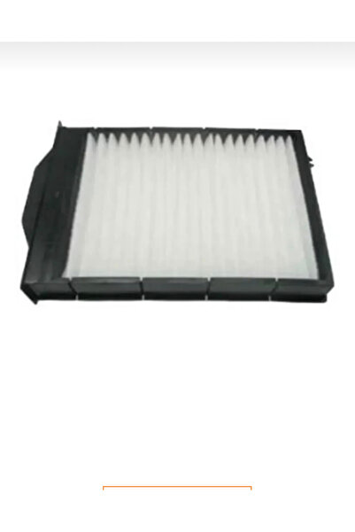 MEGAN 2 Polen Fitresi