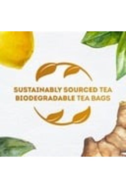 Lipton Lemon Ginger Herbal Infusion Tea 20 Teabags Naturally Caffeine Free Soothing Citrus Spice