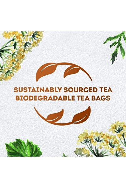 Lipton Anise Herbal Infusion Tea 20 Teabags Naturally Caffeine Free Soothing Licorice Like Flavor