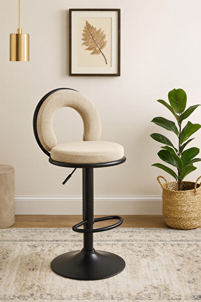 DEC49 Bar chair with a distinctive and modern design in multiple colors