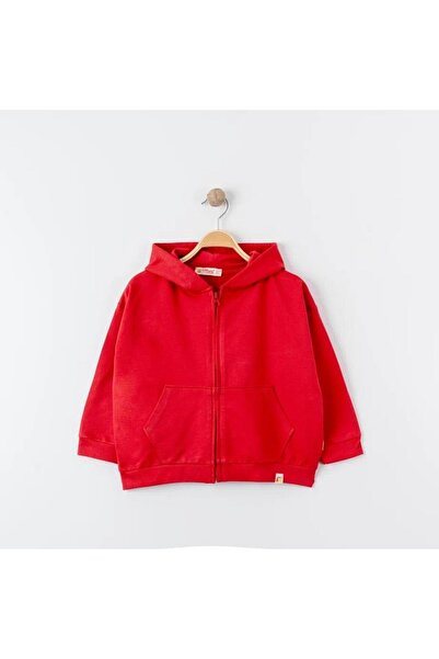 Tiffany Oversized Tracksuit Theme Hooded Zippered Sweatshirt