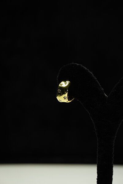 Rumon Zircon Stone Star Minimal Steel Earrings