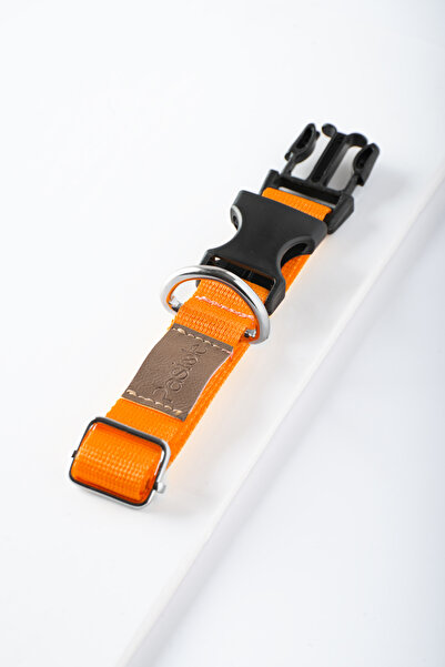 pasiole Dog Collar, Dog Collar, Adjustable, Sturdy Dog Collar