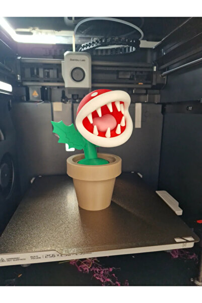 Lumina3D نبات البيرانا ثلاثي الأبعاد